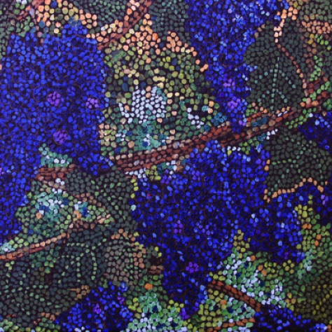 Concord Grapes
8x10 Concord Grapes
8x10